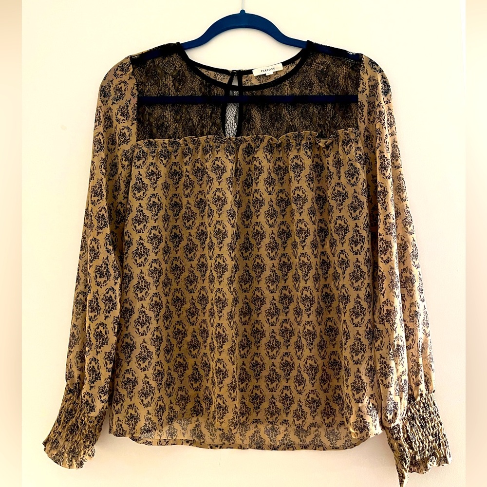 Pleione sheer and lace work blouse